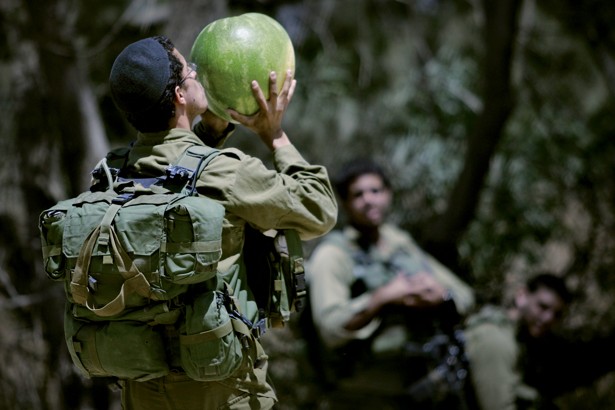Israeli Solders Demand More Vegan Food on the Job – Weekly News Roundup